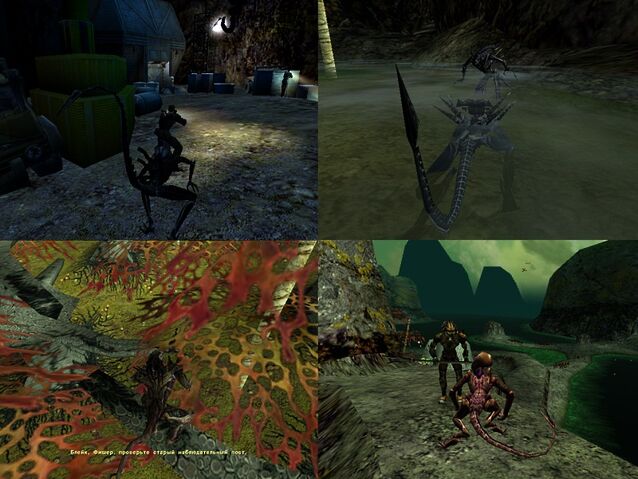File:AliensAVP2.jpg