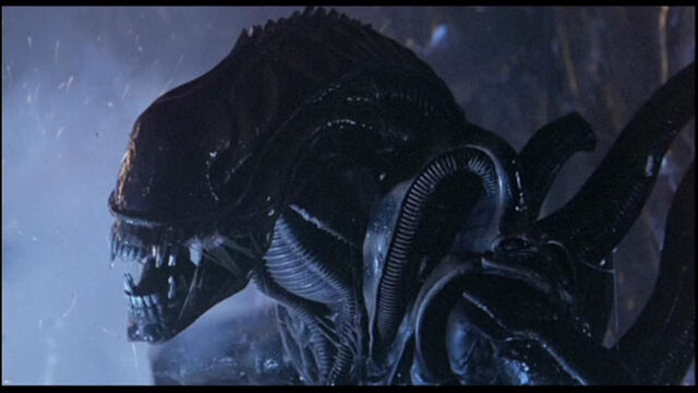 File:Dvd1.jpg