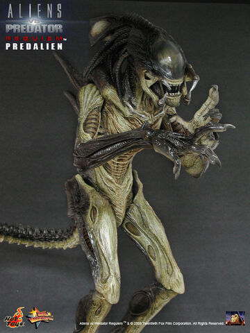 File:Mms55-predalien4.jpg