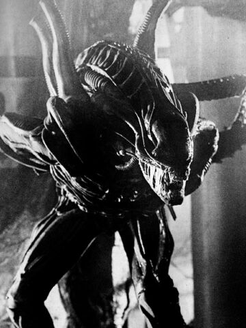 File:Aliensbwwarriorstill.jpg