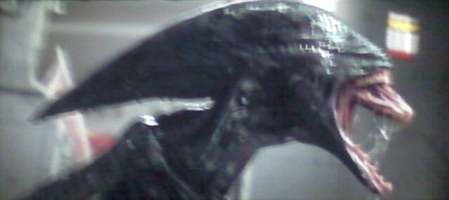 File:Prometheusxeno.jpg