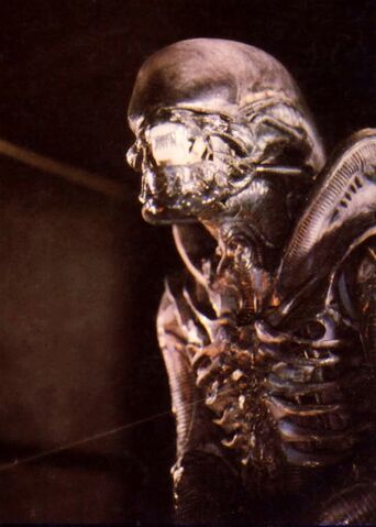 File:79Alien.jpg