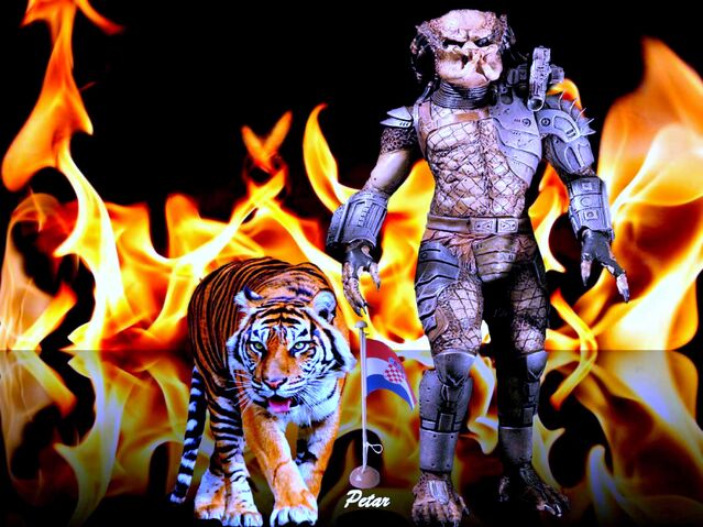 File:Pred tigar zast.jpg