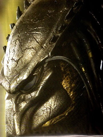 File:Wolf biomask sideview AVP2.jpg