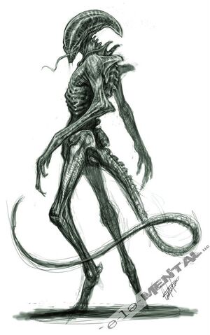 File:Edge Warrior 2.jpg