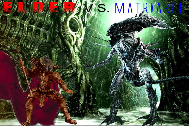 File:Elder vs. Matriarch.jpg