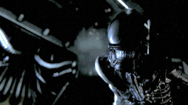File:Alien-Isolation---trailer-018.jpg