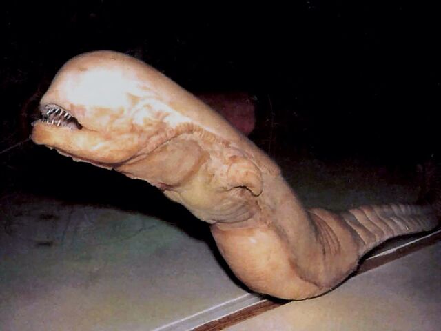 File:Chestburster .jpg