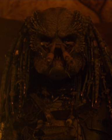 File:Greyback.png