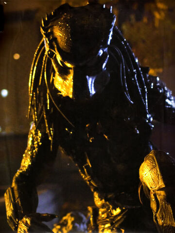 File:Wolf-1-.jpg