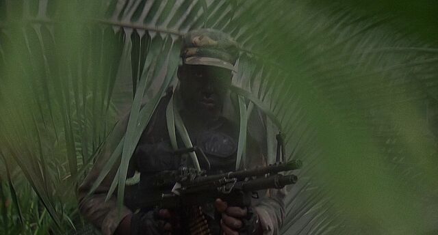 File:Mac with his M60.jpg