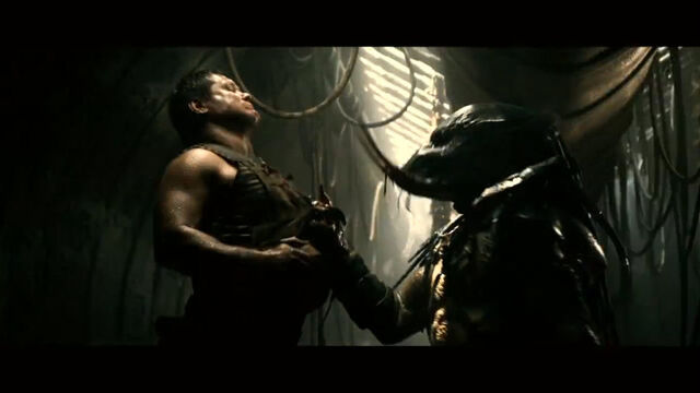 File:Sneakpeak70.jpg