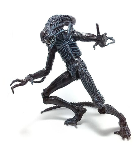 File:Xenomorph-Warrior-3.jpg