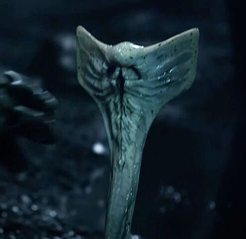 File:Promethues Snakes.jpg
