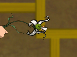 Panda lily.png