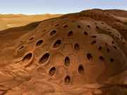 Buzzard wasp hive.png