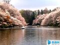 2013年4月6日 (星期六) 05:21的版本的缩略图