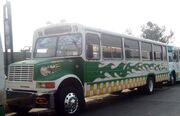 Opelbus