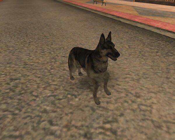 Archivo:Rex.jpg