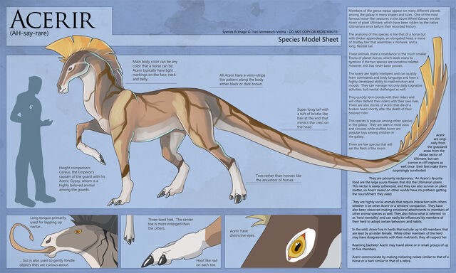 File:Acerir-SpeciesSheet.jpg