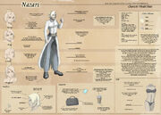 Nazari-CS-watermarked