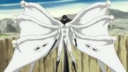 Aizen stage 4