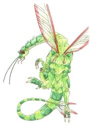 Anakadian Dragonfly