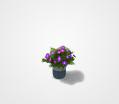 Purple Flowers