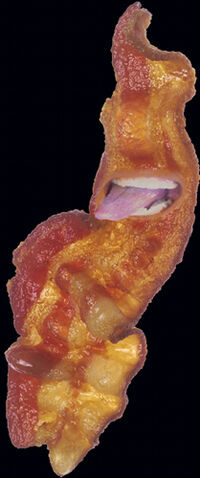 File:Bacon.jpg