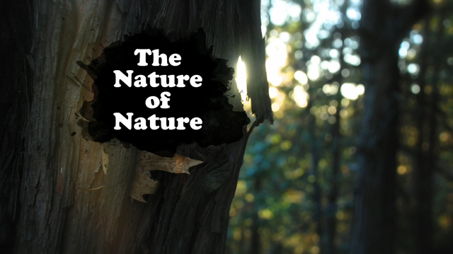 File:The Nature of Nature.png