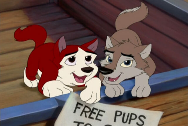 File:Puppy Kodi and Aleu.jpg