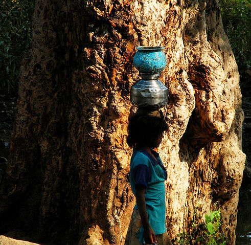 Talaksan:Water bearer.jpg