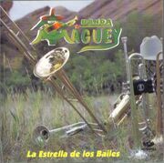 Maguey 95