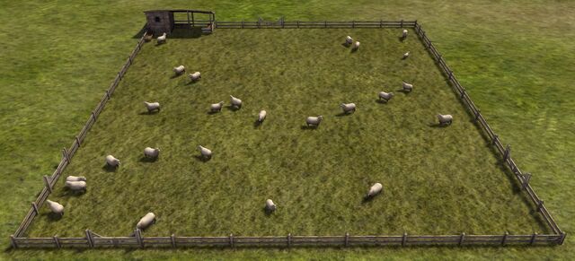 Файл:Sheep.jpg