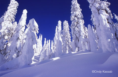 File:Winter03.jpg