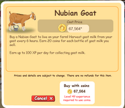 Nubian Goat