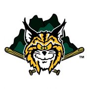 Lynchburg Hillcats