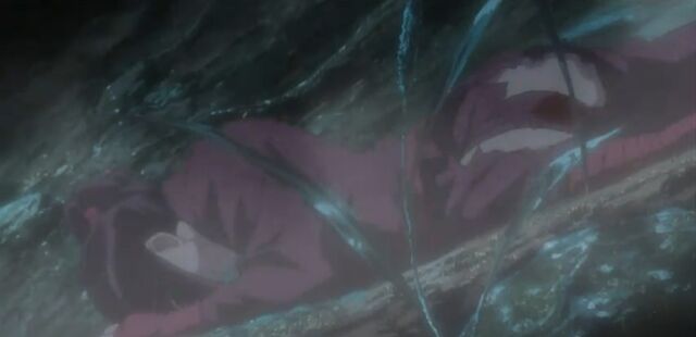 File:Hotarubi injured.jpg