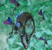 Phantasm1