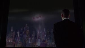 Gotham City Batman & Robin