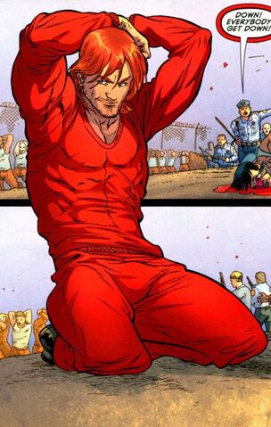 File:1818055-1818049 batmanandrobin23013.jpg