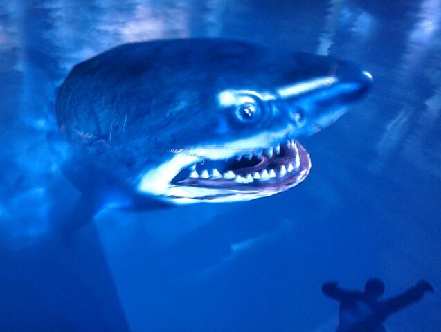 Archivo:ArkhamShark.jpg