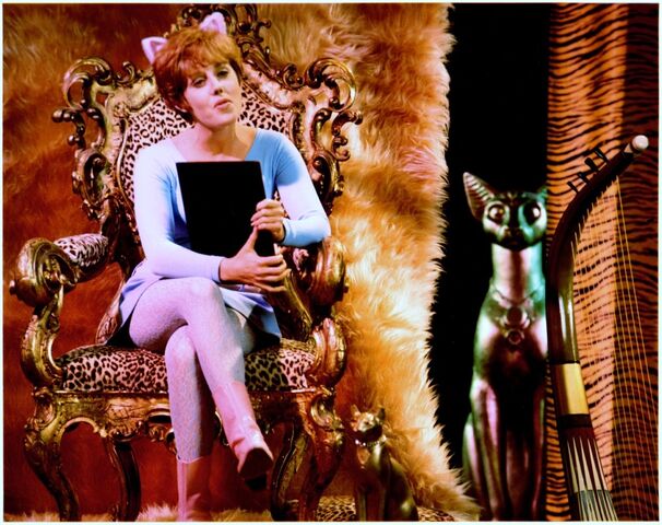 File:Pussycat 1.jpg