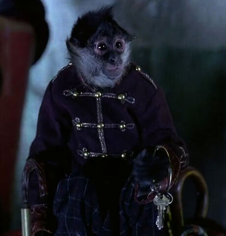 File:OrganGrindersMonkey.jpg