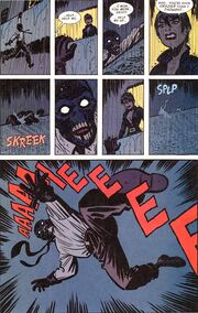 BlackMaskCatwoman.jpg