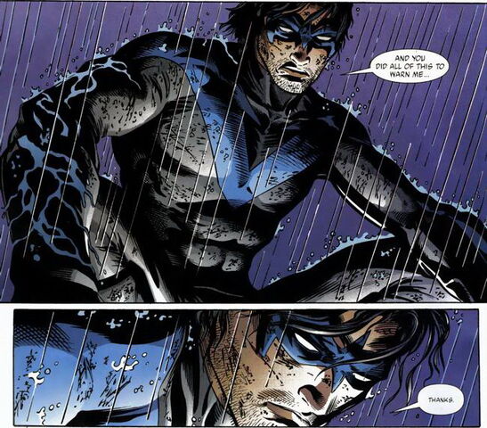 File:2018449-nightwing pyrate dcp pg03.jpg