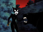 Catwomananimated2.jpg