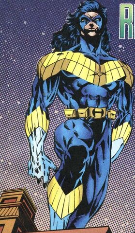 File:1627672-nightwing6.jpg