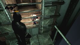 Harley caged.jpg