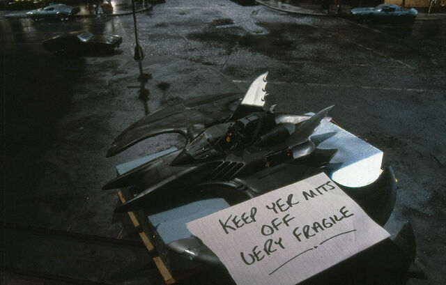 File:FragileBatwing.jpg